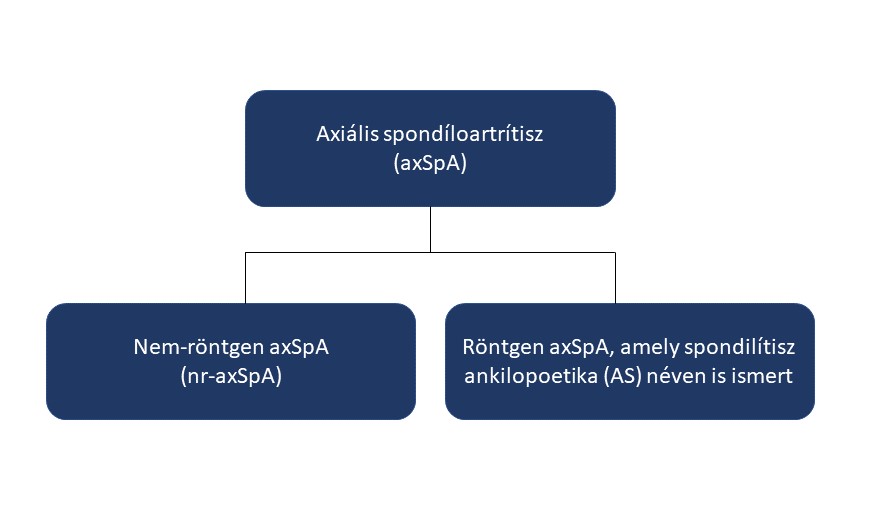 Axial spondyloarthritis (axSpA)
